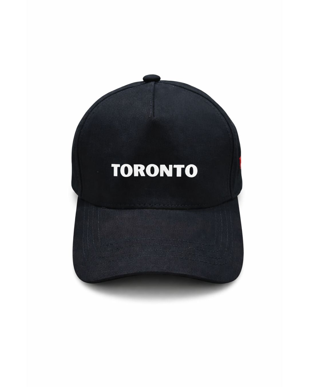 The 6ix snapback cap