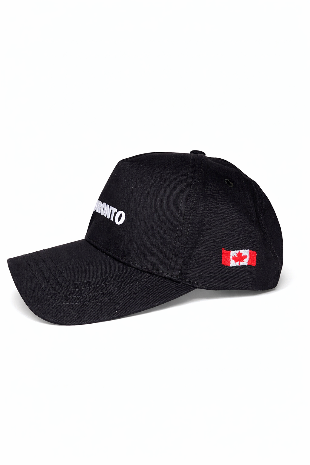 The 6ix snapback cap